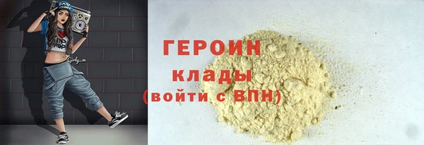 гашик Алексин