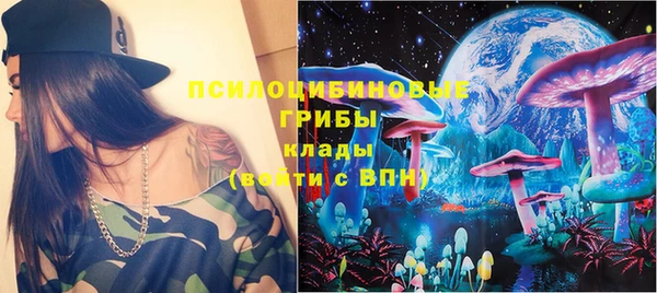 гашик Алексин