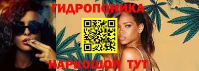 гашик Ярославль