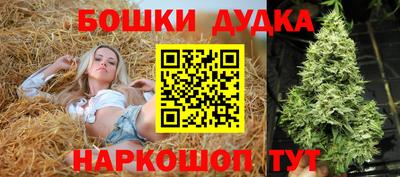 гашик Ярославль