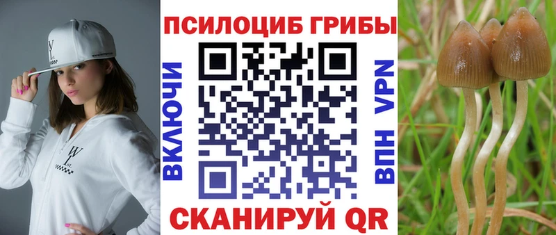 Галлюциногенные грибы MAGIC MUSHROOMS Асино