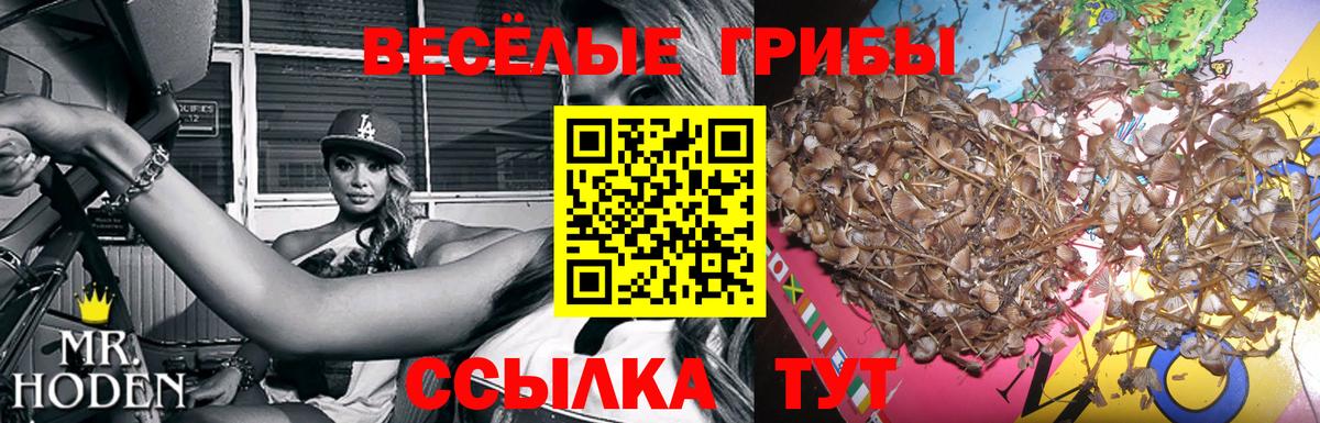 Галлюциногенные грибы GOLDEN TEACHER Асино