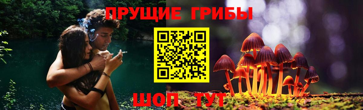 даркнет сайт  Псилоцибиновые грибы Psilocybine cubensis  Псилоцибиновые грибы Magic Shrooms  Вход с VPN  Асино 
